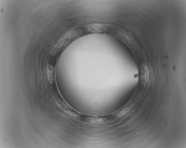 X0000057080332200509231630