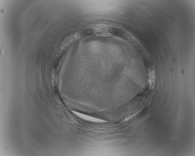 X0000057080333200509231630