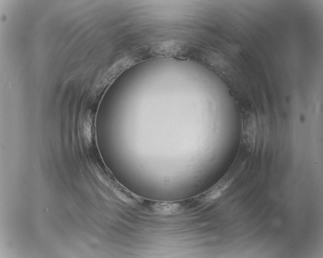 X0000057080334200509231630