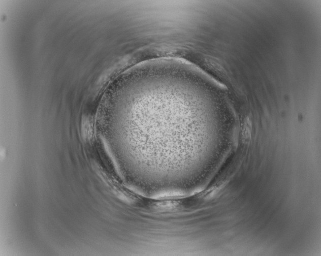 X0000057080335200509231630