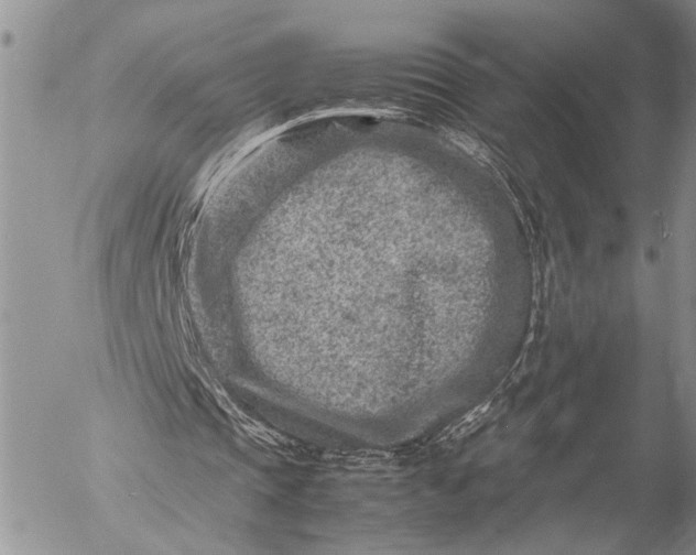 X0000057080337200509231629