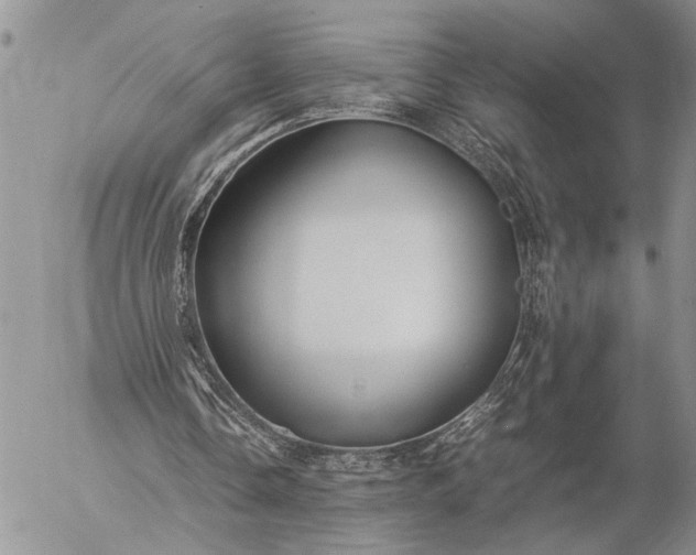 X0000057080338200509231629