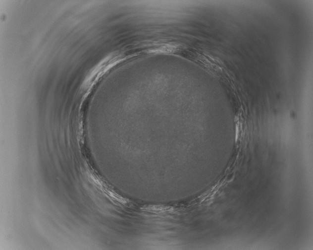 X0000057080339200509231629