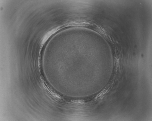 X0000057080340200509231629