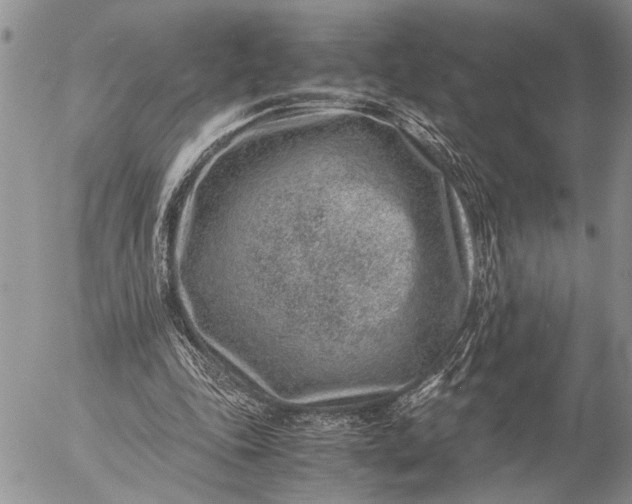 X0000057080343200509231629