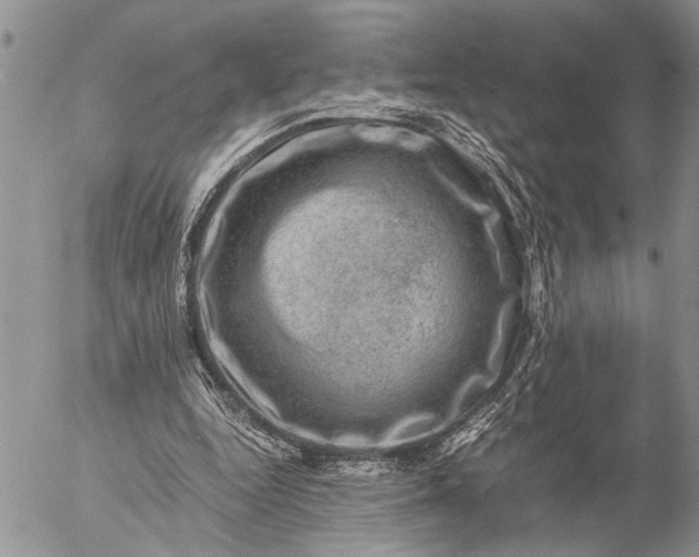 X0000057080344200509231629