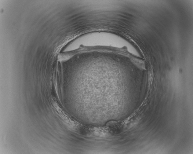 X0000057080345200509231629