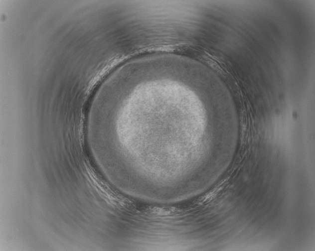 X0000057080346200509231630