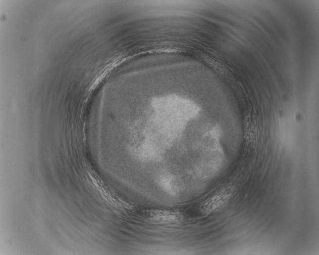 X0000057080347200509231630