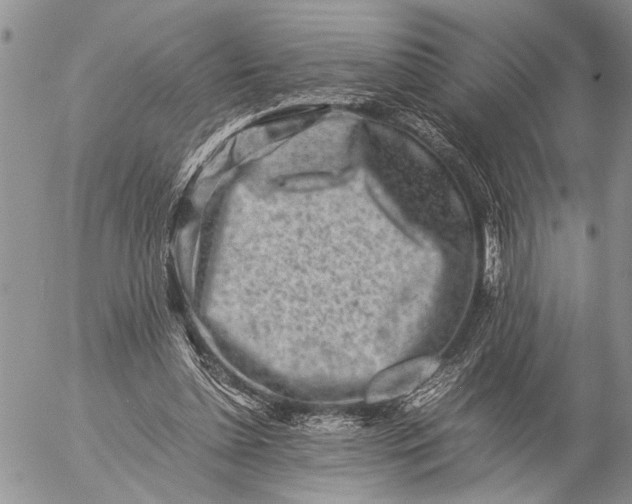 X0000057080348200509231630