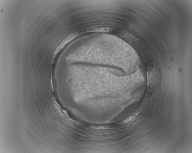 X0000057080349200509231630