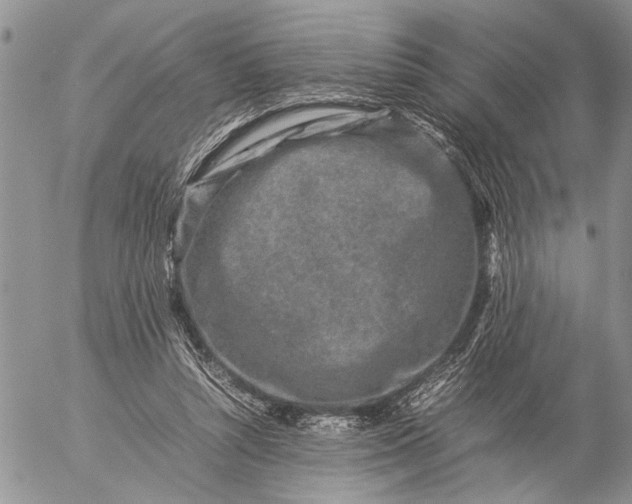 X0000057080352200509231630