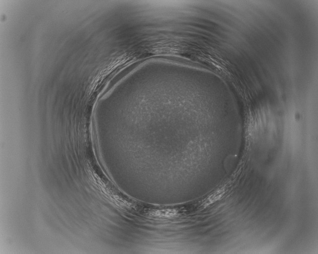 X0000057080353200509231630