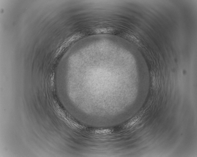 X0000057080357200509231630