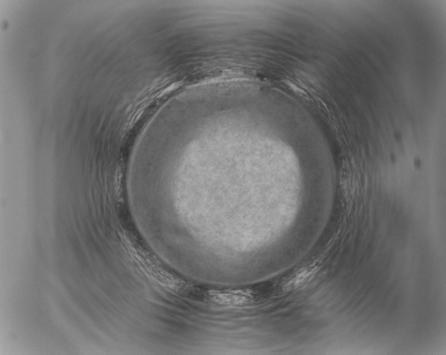 X0000057080359200509231630