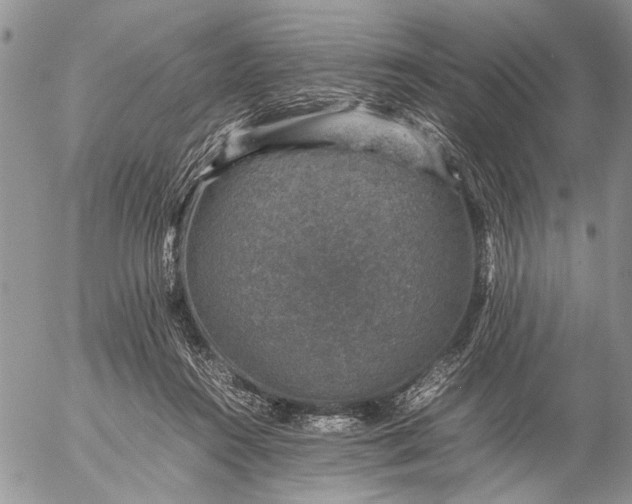 X0000057080360200509231630