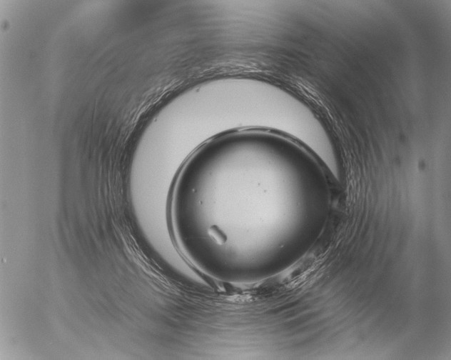 X0000057080362200509231630