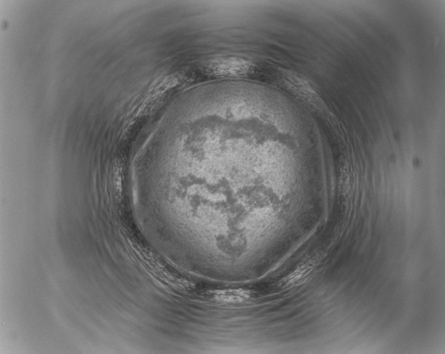 X0000057080363200509231630