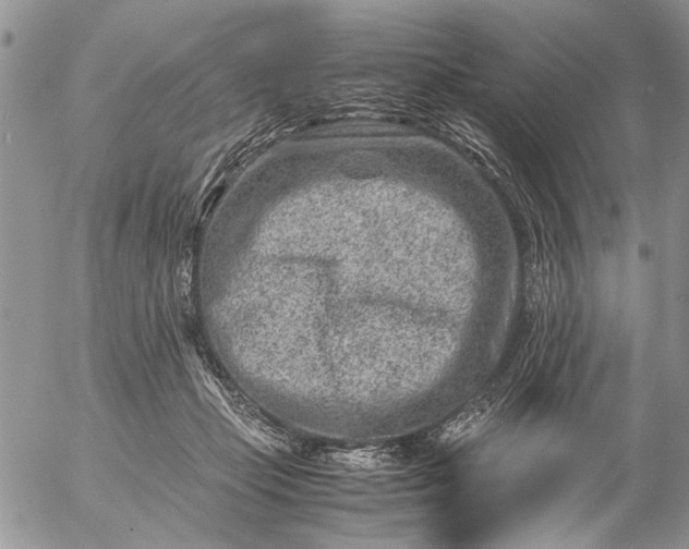 X0000057080365200509231630