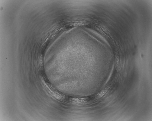 X0000057080367200509231630