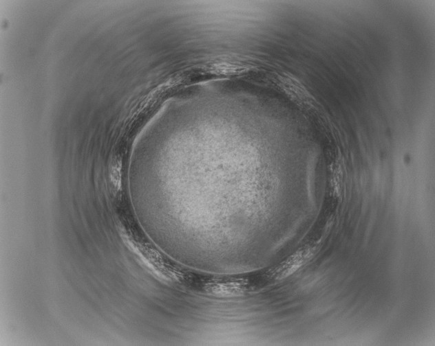 X0000057080368200509231630