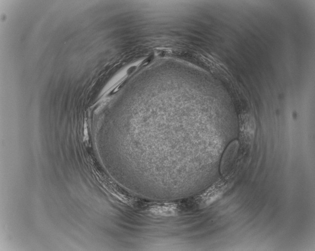 X0000057080369200509231630