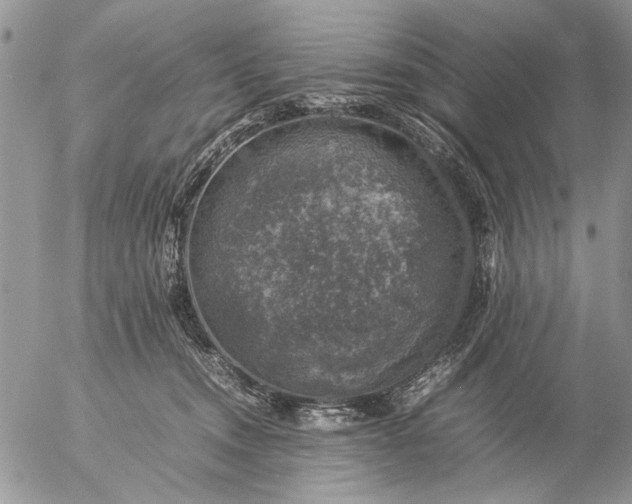 X0000057080372200509231630