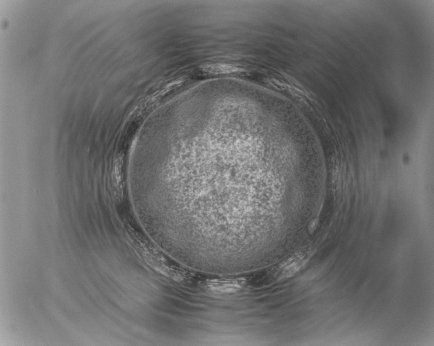 X0000057080373200509231630