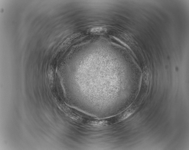 X0000057080375200509231630