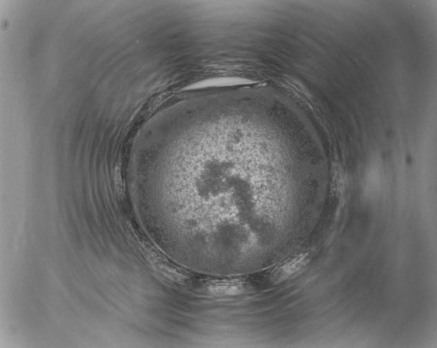 X0000057080377200509231630