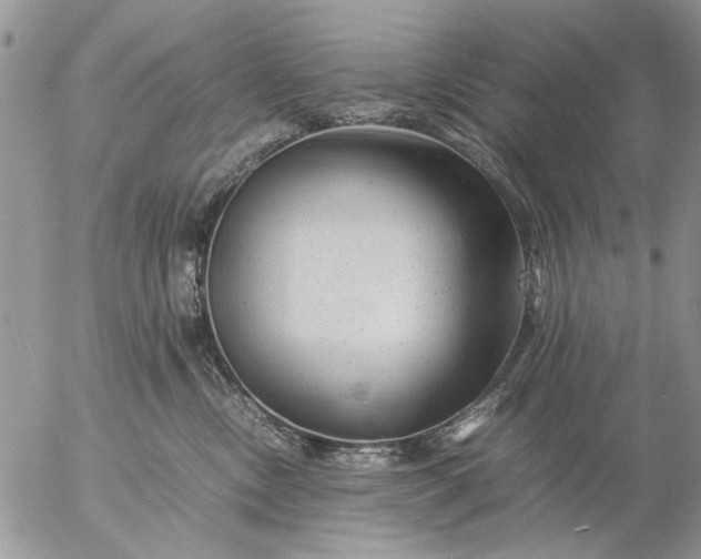 X0000057080378200509231630