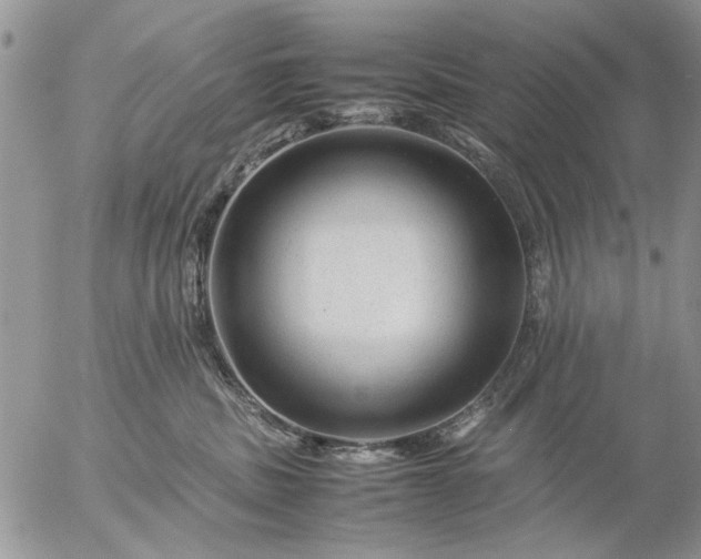 X0000057080379200509231630