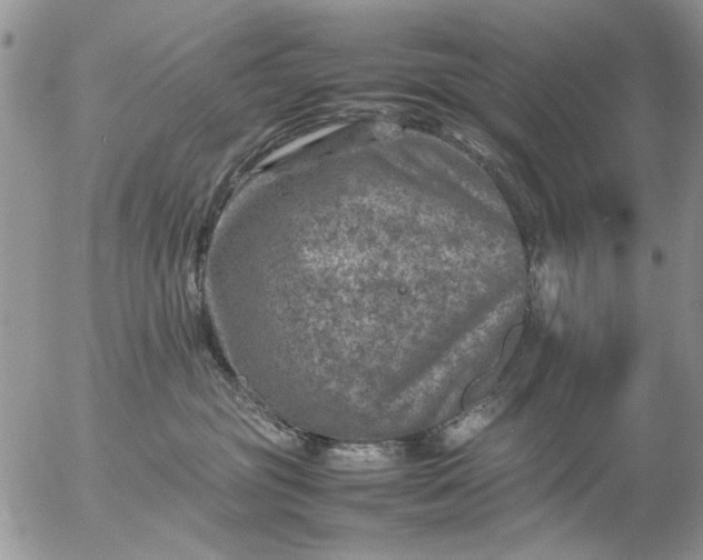 X0000057080381200509231630