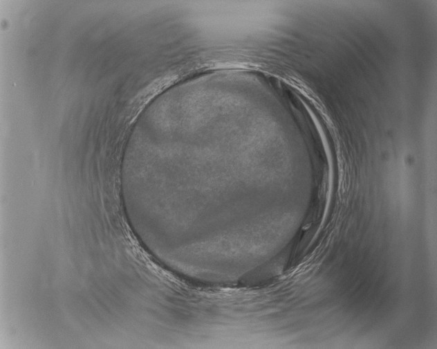 X0000057080385200509231629