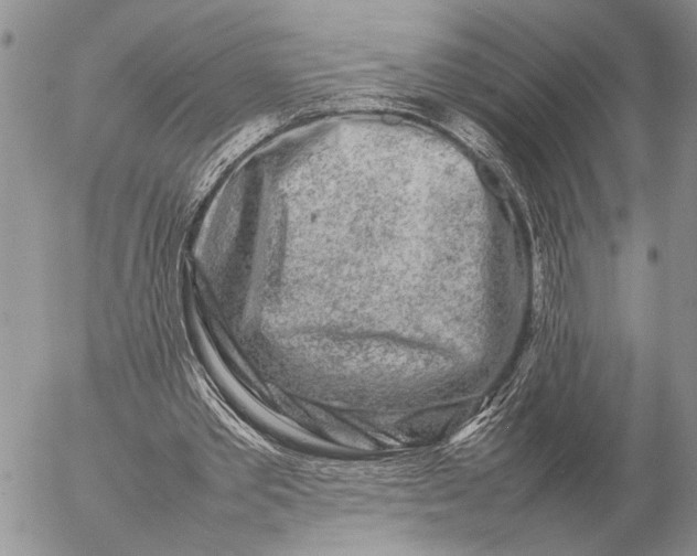 X0000057080389200509231629