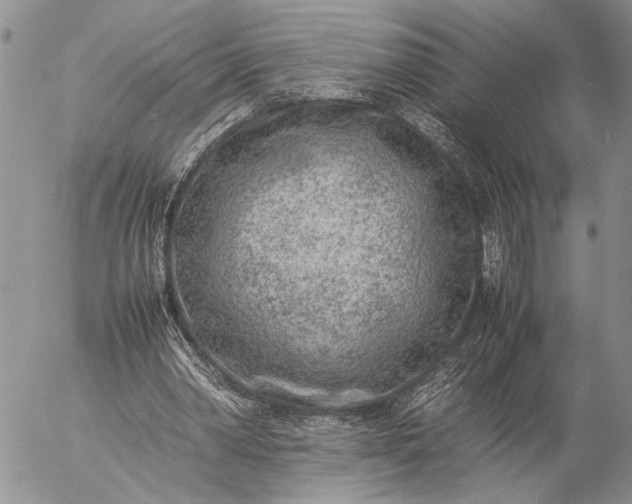 X0000057080390200509231629