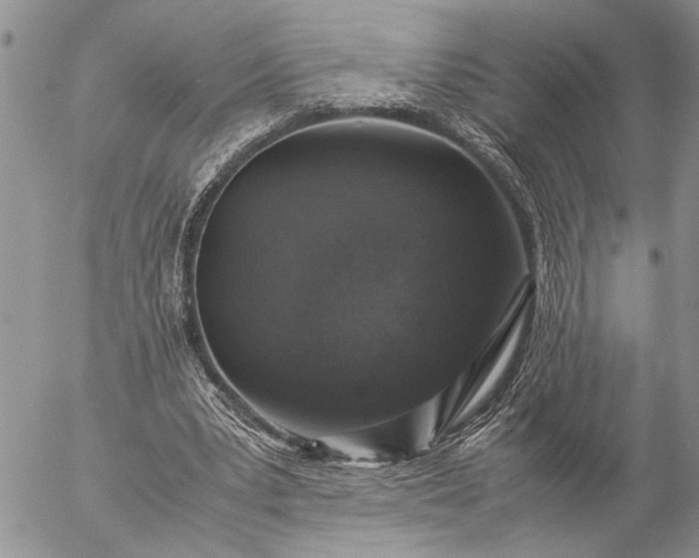 X0000057080391200509231629