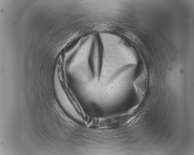 X0000057080393200509231629