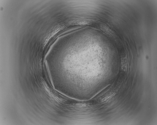 X0000057080394200509231629