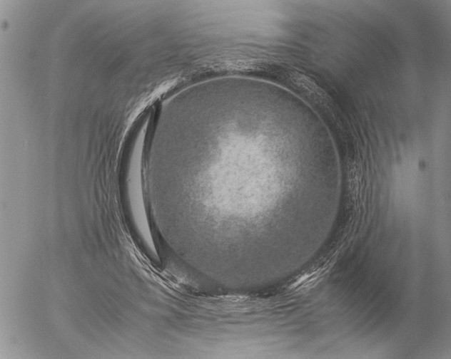 X0000057080395200509231629