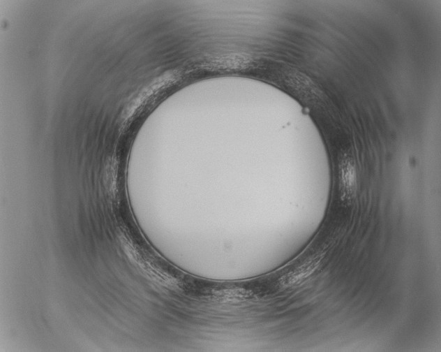 X0000057080396200509231629