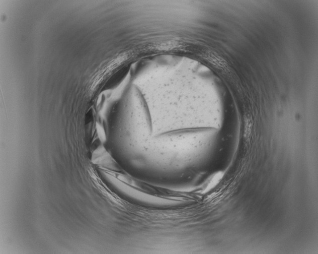 X0000057080397200509231629