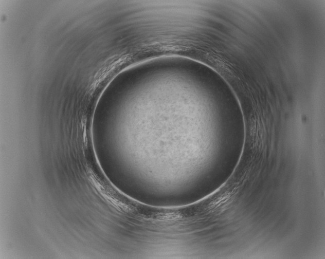 X0000057080398200509231629