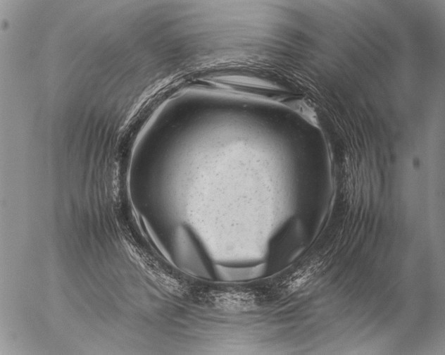 X0000057080400200509231629