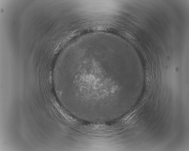 X0000057080401200509231629