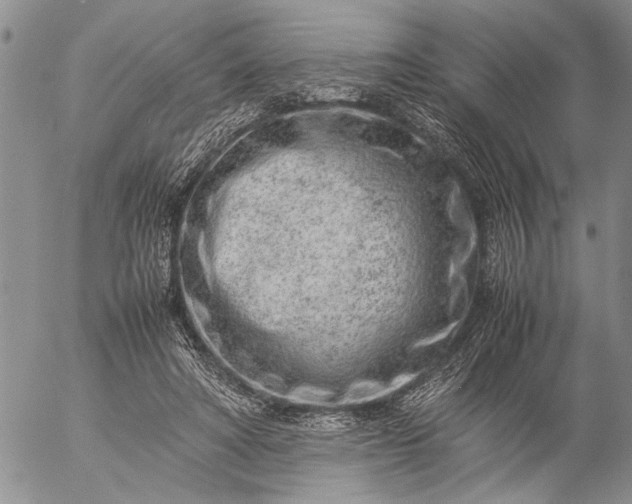 X0000057080402200509231629