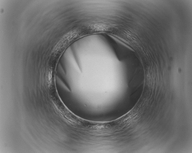 X0000057080406200509231629