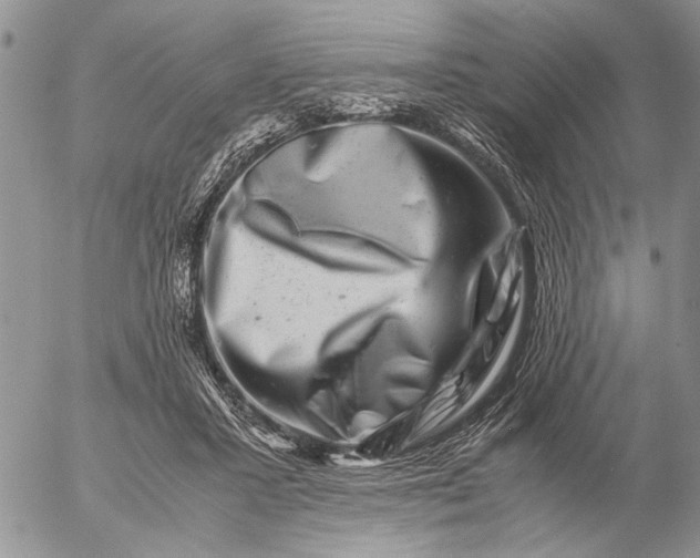 X0000057080407200509231629