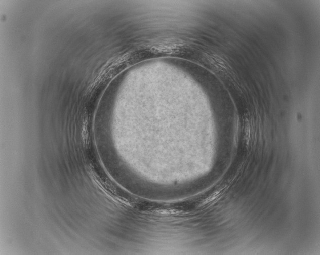 X0000057080408200509231629