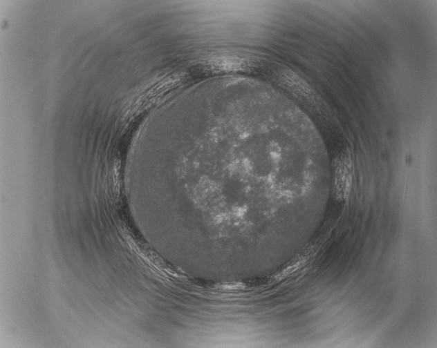 X0000057080410200509231629